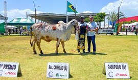 73ª Expoagro-AL será lançada oficialmente na segunda (11), no Parque da Pecuária