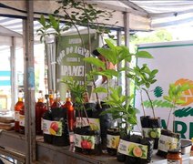 Carpil impulsiona diversificação produtiva com entrega de mudas em Alagoas