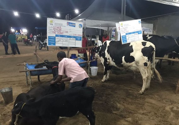 Expo Bacia Leiteira fortalece a pecuária de AL