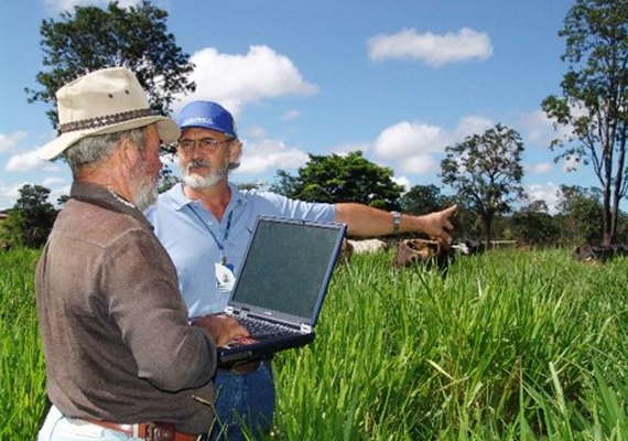 Sebrae lança edital para bolsistas de inovação rural de pequenos negócios