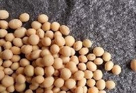 Valor da Produção Agropecuária está estimado em R$ 562,4 bi