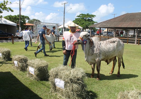 Expoalagoas Genética tem programação diversificada
