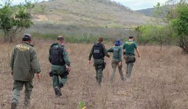 Operações resgatam mais de 800 animais silvestres em Alagoas