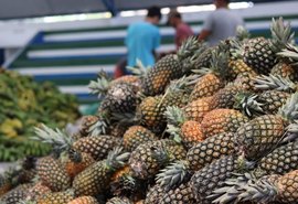 Agricultores são convocados para participar de audiência pública