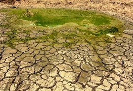 Cientistas dizem que Nordeste tem tecnologia suficiente para combate à seca