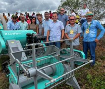 Produção de Arroz tem perspectivas positivas no Baixo São Francisco alagoano