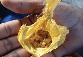 Guarda Civil Municipal apreende 85 pedras de crack na orla de Ponta Verde