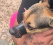 Tutora é presa após amarrar focinho de cachorro para não latir em Maceió