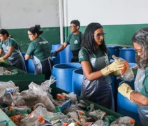 Cooperativas brasileiras têm grandes desafios antes da COP30