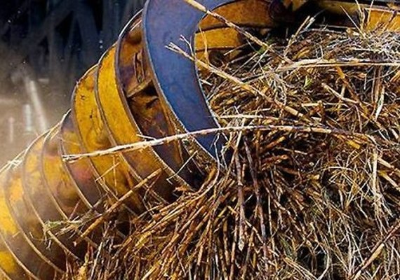 Produção de açúcar tem superávit superior de 200 mil toneladas