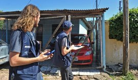 Concurso IBGE: Editais com mais de 225 mil vagas saem em fevereiro