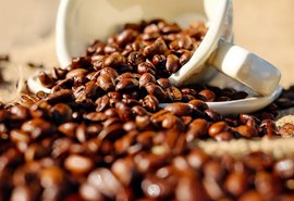 Exportação de café segue em bom desempenho há sete meses