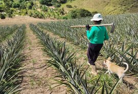 Crédito para o semiárido alagoano soma cerca de R$ 800 milhões em 2025