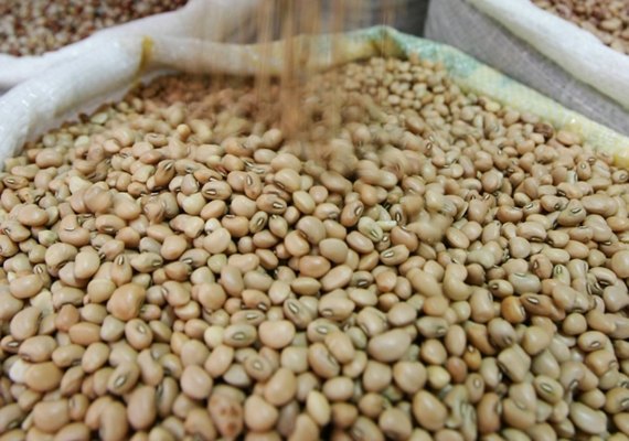 Oficinas são realizadas pela Emater para oferecer orientações de plantio aos agricultores familiares