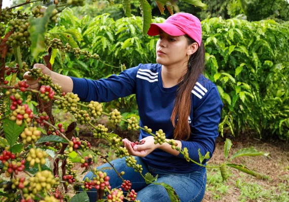 Novo rearranjo da exportação de café é liderado pelo Brasil e isso está na mão das cooperativas