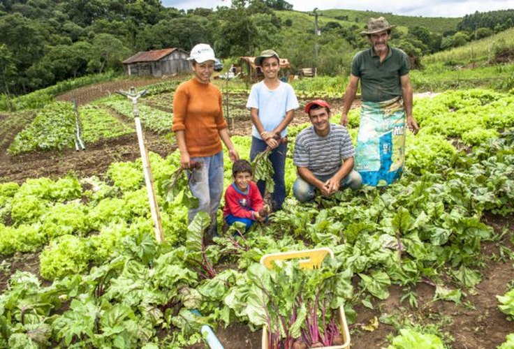 Projeto de Lei propõe incentivo ao desenvolvimento da agricultura familiar