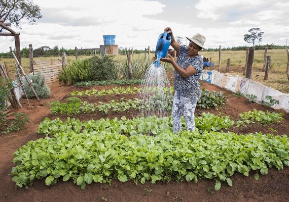 Exército abre edital para agricultores familiares, inscrições vão até dia 27