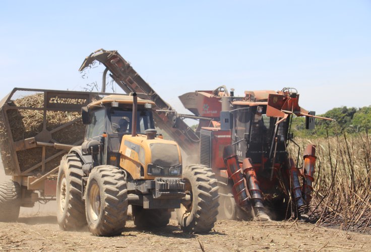 Mecanização avança nos canaviais do setor sucroenergético de AL