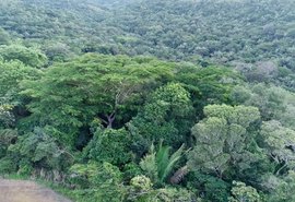 Mata da Sálvia: Segunda maior Reserva Particular do Patrimônio Natural é criada em AL