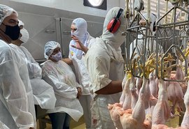 Cooperativas da agricultura familiar conhecem indústria de abate de aves
