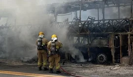 VÍDEO: Incêndio destrói ônibus de turismo que saiu de Arapiraca em direção ao Paraná