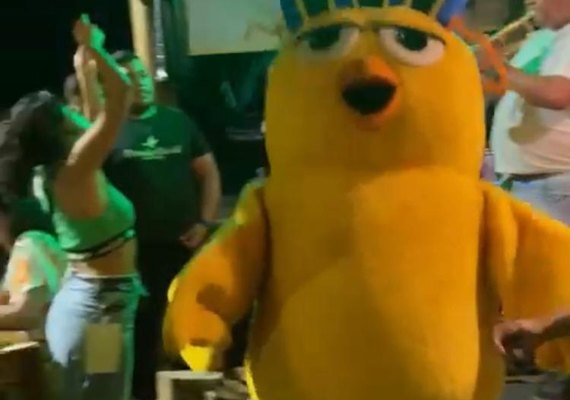 Pinto por aí leva frevo e alegria a bares e restaurante de Maceió