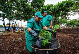 Maceió teve ampliação de serviços de limpeza e arborização