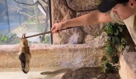 Vídeo de alagoano alimentando cobra viraliza na internet