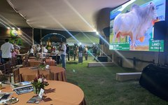 O leilão aconteceu nesta terça-feira, 26, consagrou a participação do nelore nos leilões da Expoagro/AL