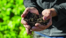 Lei amplia garantias e crédito para o Pronaf