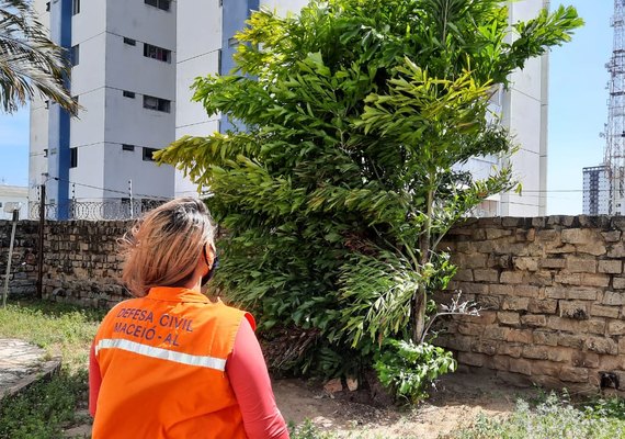 Defesa Civil Maceió alerta sobre rajadas de ventos que podem chegar a 45km/h