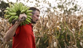 Câmara aprova uso de recursos do FGO em operações do Pronaf