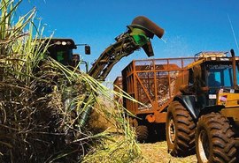 Faeal acredita que setor sucroenergético pode sair da crise