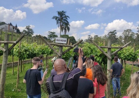 Turismo rural oferece alternativa econômica para pequenas propriedades