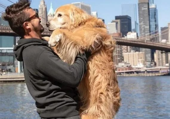 Influencer brasileiro que viajava de fusca com seu cachorro morre em acidente nos EUA