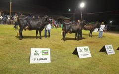 A edição reuniu 1800 animais.