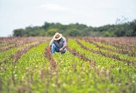 Negócio Certo Rural beneficia produtores de São Luiz do Quitunde