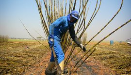 MPT promove audiência pública para discutir NR 31