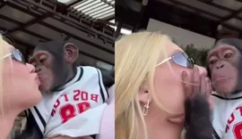 Virgínia Fonseca beija macaco em Dubai e divide opiniões na net