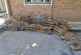 PM resgata aves ameaçadas de extinção durante Operação Feira Livre