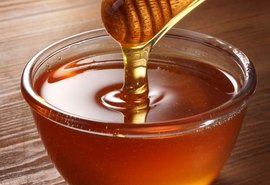 Selo de produto artesanal poderá ser concedido à apícolas a partir de outubro