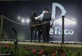 Leilão Vale Rico vai celebrar reconhecimento em seis categorias AWARDS ABQM