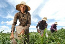 Agricultor familiar não sofrerá impactos referentes ao recolhimento de previdência rural