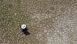 Seca já afeta todos os 62 municípios do Amazonas