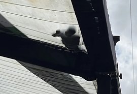 Trabalhador que desmontava camarote de São João é encontrado morto em cima da estrutura