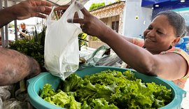 Agricultura familiar encerra circuito de feiras com geração de renda e fortalecimento do cooperativismo