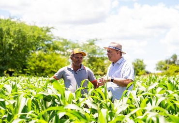 Agricultura familiar é foco de ações da Seagri no sertão de Alagoas