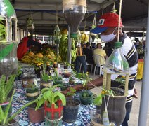 Feira Agroecológica Novo Jardim acontece pela primeira vez no bairro Jardim Petrópolis II