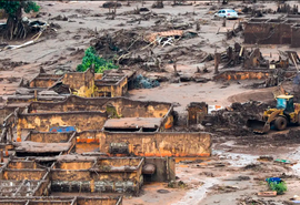Representantes de AL participam de mobilização pelos 7 anos da tragédia em Brumadinho