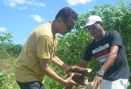 Vereador Dr. Valmir Gomes e Emater planejam executar projeto de agricultura familiar em Fernão Velho